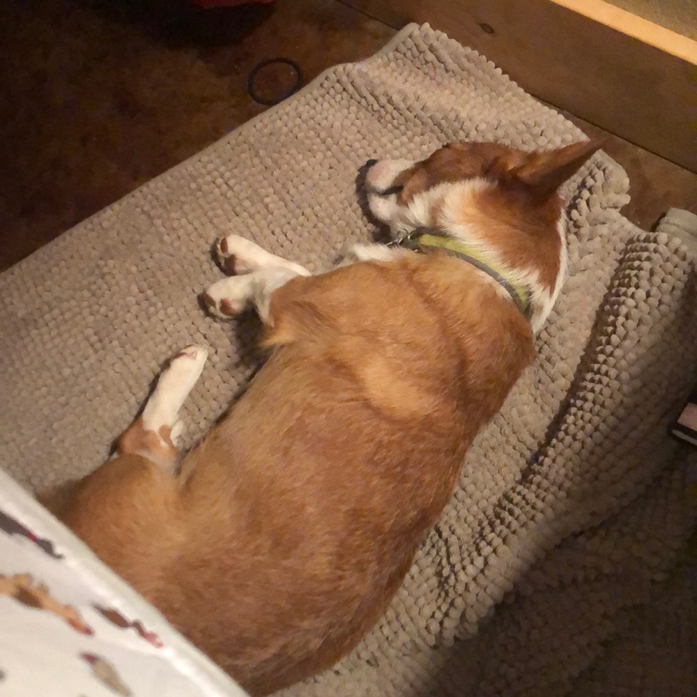 Meet your Posher, Angela